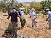 Tailor-Made Experiences