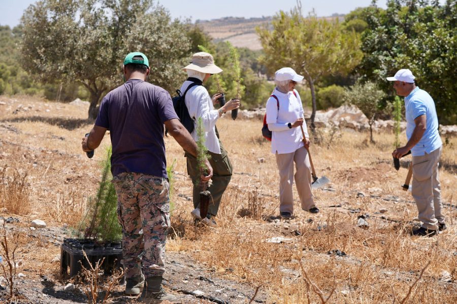 Tailor-Made Experiences